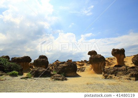 Taiwan Bird Marine National Park 41480119