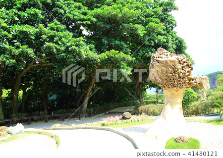 Taiwan Bird Marine National Park Taiwan Bird Marine National Park 41480121