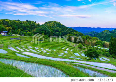 [Chiba Prefecture] Oyama Senmaida, where rice planting has been completed 41480374