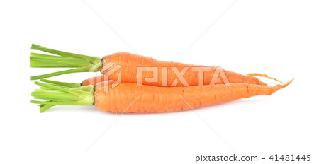 carrot on white background carrot on white background 41481445