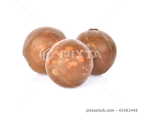 macadamia nuts on white background macadamia nuts on white background 41481448