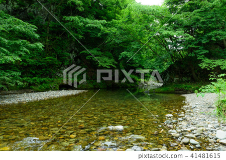 Mountain stream Mountain stream 41481615