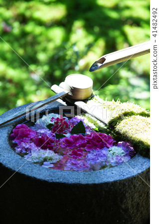 Yuya寺在雨季 41482492