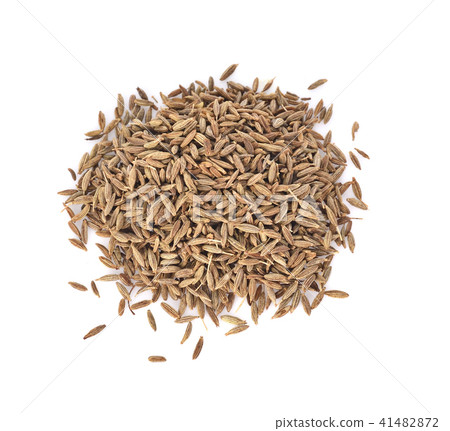 caraway, meridian fennel on white background 41482872