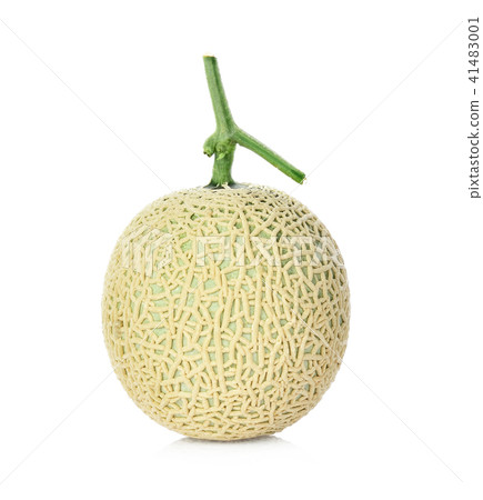 cantaloupe melon isolated on white background 41483001