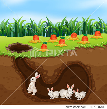 A Rabbit Family Living in Hole A Rabbit Family Living in Hole 41483681