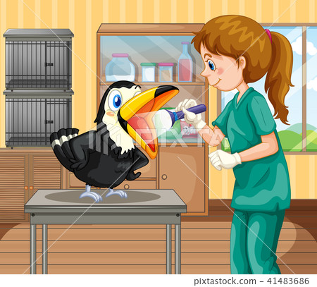 A Vet Doctor Checking a Hornbill A Vet Doctor Checking a Hornbill 41483686