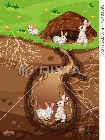 A Rabbit Family Living in Hole 41483695