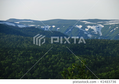 Early summer road to Tomraussi summit 41483736