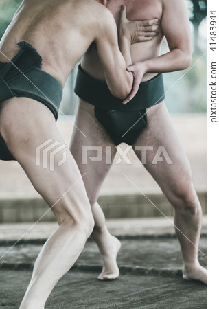 sumo, sumo wrestling, sumo wrestler 41483944