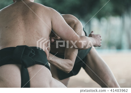 sumo, sumo wrestling, training 41483962
