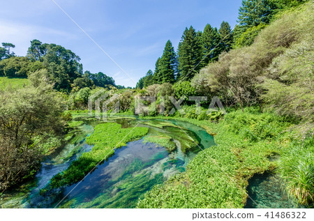 Blue Spring which is located at New Zealand. Blue Spring which is located at New Zealand. 41486322