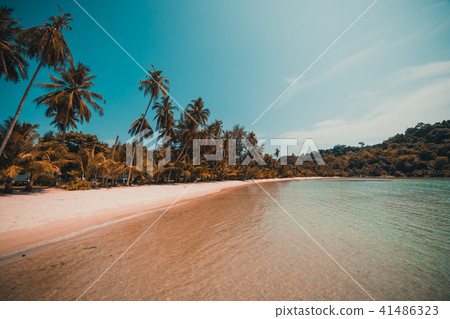 Beautiful tropical beach and sea with coconut palm tree in paradise island Beautiful tropical beach and sea with coconut palm tree in paradise island 41486323
