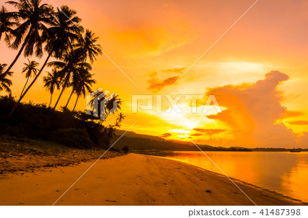 Beautiful outdoor view ocean and beach with tropical coconut palm tree at sunrise time 41487398