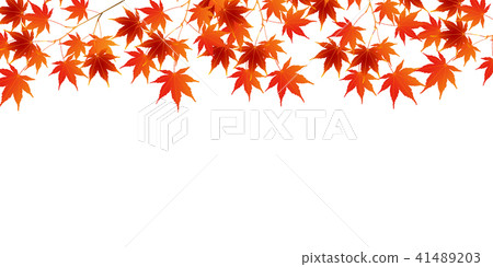  秋天的樹葉秋天日本紙背景 41489203