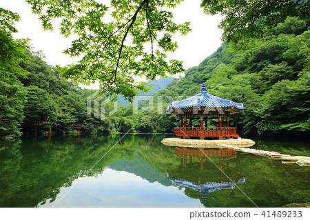 Goodbye! Goodbye! 41489233