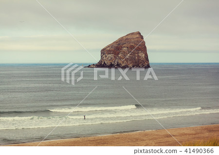 Coast in Oregon 41490366