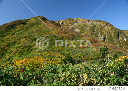 到Uonuma Komagatake山 到Uonuma Komagatake山 41490824