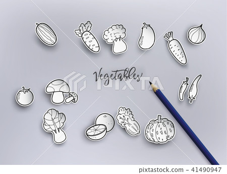 freehand drawing vegetables. 41490947