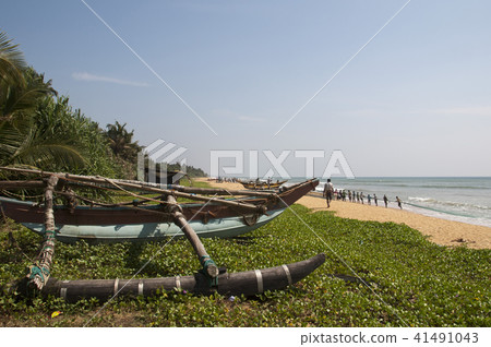 Sri Lanka Traditional Fishing aSri Lanka t Wadduwa Sri Lanka Traditional Fishing aSri Lanka t Wadduwa 41491043
