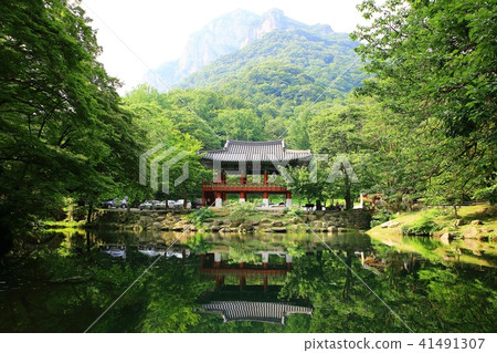 Baekyangsa Baekyangsa 41491307