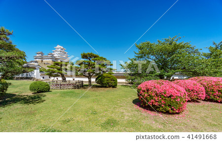 Himeji castle on top of the hill and gardens 41491668