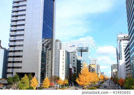 名古屋市風景櫻花大道 名古屋市風景櫻花大道 41491691