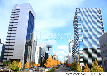 Nagoya city city scenery Sakura dori Nagoya city city scenery Sakura dori 41491692