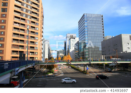 名古屋市風景櫻花大道 41491697