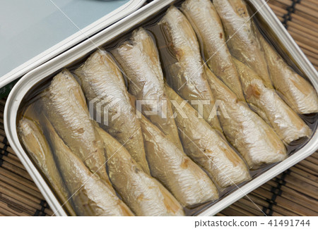 oil sardine oil sardine 41491744