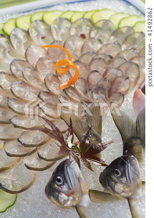 香魚香魚 41492862