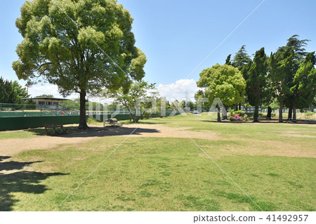 Fujimi Park 41492957