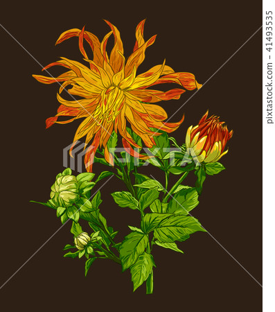 Collection set of hand drawn flowers line art by hand drawing on dark background. Collection set of hand drawn flowers line art by hand drawing on dark background. 41493535