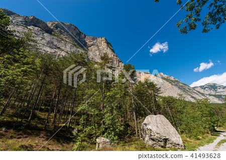Forest and Mountains Sarca Valley - Trentino Italy 41493628