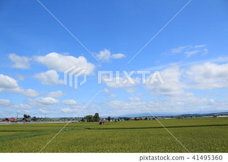 Nature Nature Hokkaido Nature Nature Hokkaido 41495360