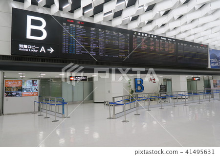 Narita Airport 41495631