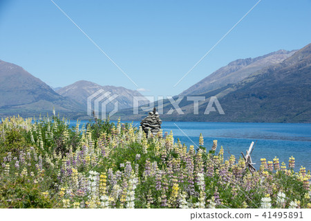 <新西蘭>皇后鎮瓦卡蒂普湖 41495891