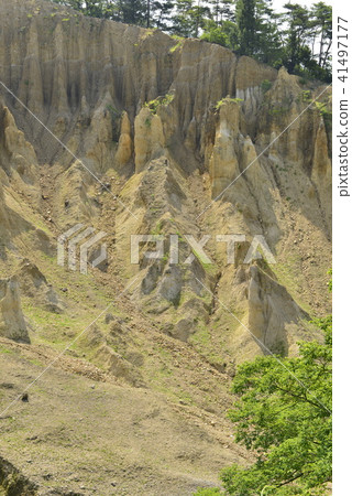 [Tokushima Prefecture] Awa soil pillar 41497177