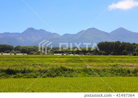 Yatsugatake Chuo Takahara Hara Village 41497364