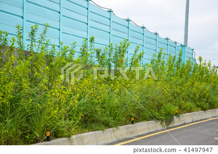 馬路,灌木叢,道,街景 41497947