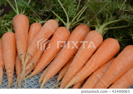carrot carrot 41498063
