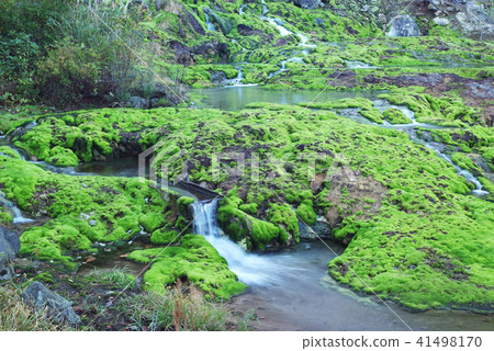Chabo Mokeke Park Chabo Mokeke Park 41498170
