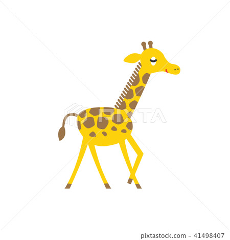 Giraffe  41498407