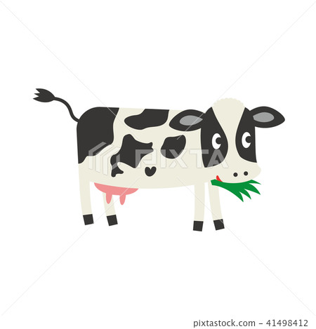 Cattle eating grass Cattle eating grass 41498412