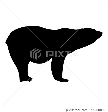 vector, bear, polar 41500092