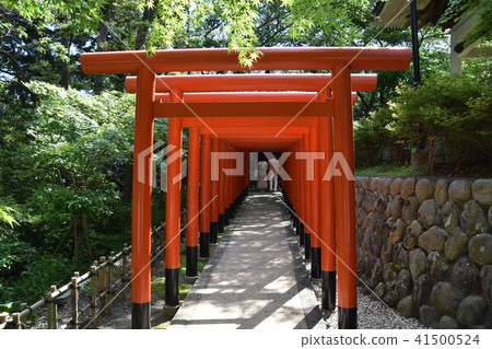 Law Tama Tadashi Eiji temple Shrine Fukuroi 41500524