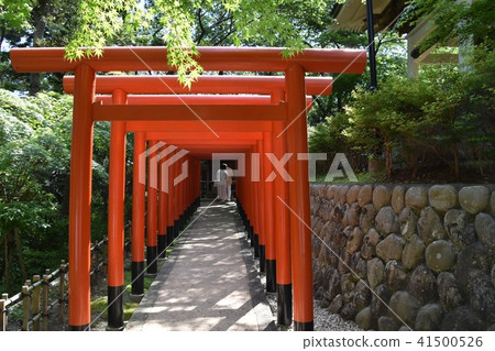 Law Tama Tadashi Eiji temple Shrine Fukuroi 41500526