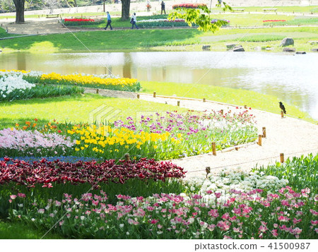 Spring in the park 41500987