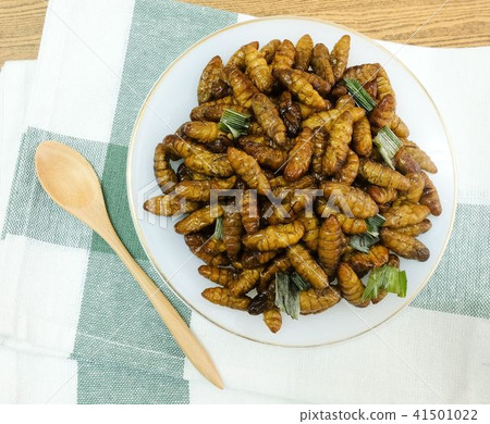 Deep Fried Coconut Worms on A White Dish 41501022