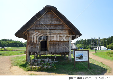 廢棄的柱子建築（青森郡青森市三內丸山遺址/大字三內丸山） 41501262